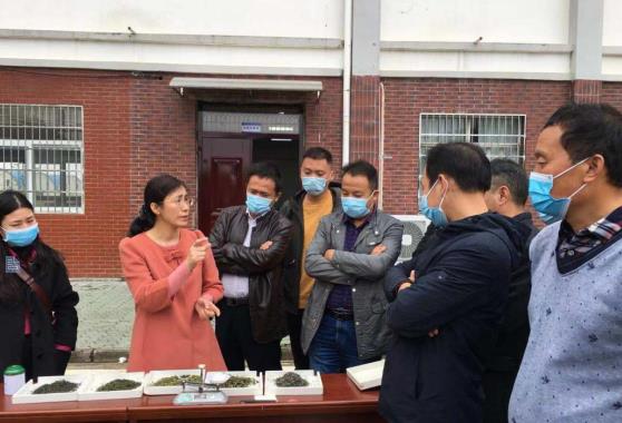 紅安縣人社局組織召開老君眉企業(yè)新型學(xué)徒制培訓(xùn)順利開展